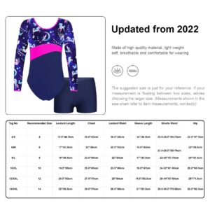 Nikiikoo Kids Girls 2Pcs Gymnastics Dance Outfits Long Sleeve Leotards with Shorts Athletic Biketards Unitards Fairy 4 Years