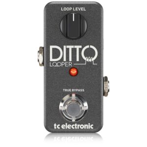 TC Electronic DITTO LOOPER (5 Minutes) Looper Pedal + MXR Patch Cables (3 Pack)