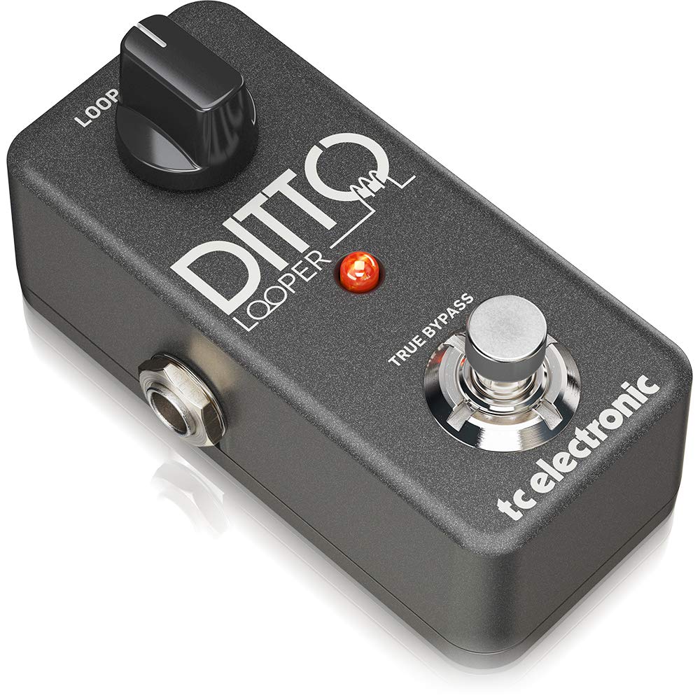 TC Electronic DITTO LOOPER (5 Minutes) Looper Pedal + MXR Patch Cables (3 Pack)