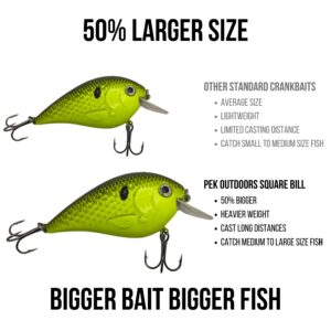 PEK Outdoors 5 Pack Super Square Bill Bass Crankbait Kit - Hard Fishing Lure Shallow Dive 2 to 6 Feet - for Bass, Pike, Walleye, and Other Fish