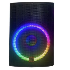 MR DJ SYNERGY18 18" 5500W Pro PA DJ Powered Active Bluetooth Speaker