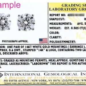 IGI Certified 2 Carat D-E Color Lab Grown Diamond Stud Earrings for Women I 14k White Gold Earrings I Secure Screw Back Earrings Made in USA by Beverly Hills Jewelers