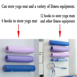 Locci Yoga Mat Holder, Yoga Mat Holder Wall Mount, Home Gym Storage 6 PCS Wall Rack Organizer (Rainbow)