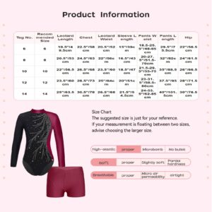 FEESHOW Girls 2Pcs Glitter Long Sleeve Leotards with Shorts Outfits Athletic Unitards Gymnastics Dancewear Clothes Red_A 14 Years