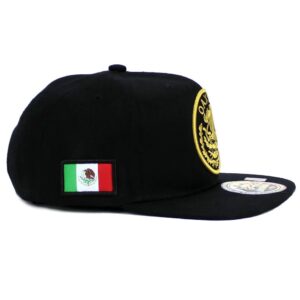 Mexican Hat Mexico State Federal Logo Embroidered Snapback Flat Bill Baseball Cap (Oaxaca- Black/Gold)