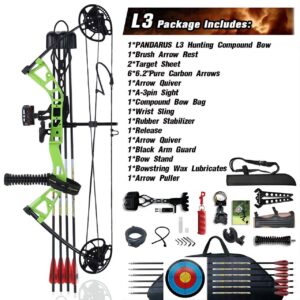 PANDARUS Compound Bow Set 10-40lbs for Pull Child Right Hand Lightweight Design Bow Adjustable 16"~28" Draw Length IBO 290fps New 2023 Professional Set (Green Right Handed Bag Pro)