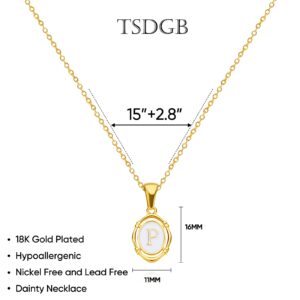 TSDGB Gold Initial Necklaces for Women, 18k Gold Plated Dainty Initial Necklace Personalized Gold Choker Charm Letter Pendant Necklaces Gold Jewelry for Women Girls