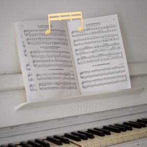 Metal Music Book Clip, Gold Music Stand Clips Sheet Music Clips Page Holder for Reading, Guitar, Violin, Keyboard, Piano Books, Outdoor Playing