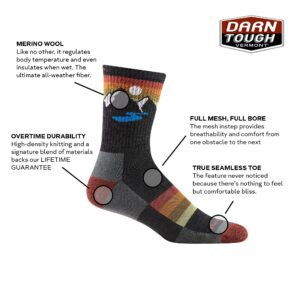 Darn Tough Men's Sunset Ridge Micro Crew Lightweight with Cushion Sock (Style 1997) - Bottle, Medium