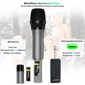 Bietrun Wireless Microphone with Microphone Stand