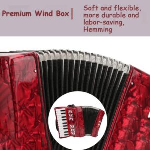 Acordeones Para Adultos, Acordeón 22 Keys 8 Bass Accordion Instrument With Acordeon Straps And Sweet Sound Portable Educational Musical Instrument, For Music Beginner Lover