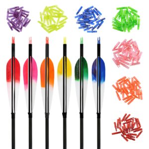 ZSHJGJR Arrows Nocks, 6.20mm / .244 inch Inside Diameter Plastic Nock for Compound & Recurve Bow Archery Accessories (3 Pack (72 Pcs), Cool Colours, .244)