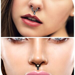 Vsnnsns 16G Septum Rings Piercing Jewelry Septum Jewelry CZ Clicker Ring Stainless Steel Septum Hinged Segment Nose Rings Hoop Piercing Jewelry for Men Women 10mm 5pcs Black