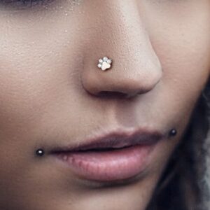 COCHARM G23 Titanium 20g Nose Stud Paw Print Nose Screw Nose Rings Dog Paw Clear CZ Nose Piercing Jewelry 20 Gauge Hypoallergenic Nose Corkscrew Stud