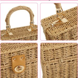 TaiGuri Women's Handmade Straw Rattan Woven Chain Purse Tote Shoulder Bag Handbag, Khaki, Medium