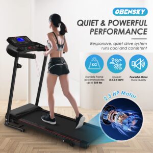 OBENSKY Electric Folding Treadmill with Incline, Exercise Walking Machince for Apartment Home/Office Jogging, Compact Foldable Treadmill,12 Preset Program