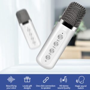 Portable Karaoke Singing Machine with 2 Wireless Microphone, Bluetooth Speaker with HD Sound PA System Support Echo and Vocal Cut,USB,TF, AUX for Party, Meeting, Wedding,Picnic and Outdoor (White)