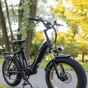 HAOQI Antelope Black Electric Bike for Adults 48V 25AH Removable Dual Lithium Battery, 750W Motor, 20" x 4.0 Fat Tire Step-Thru Ebike up to 28MPH, 7-Speed