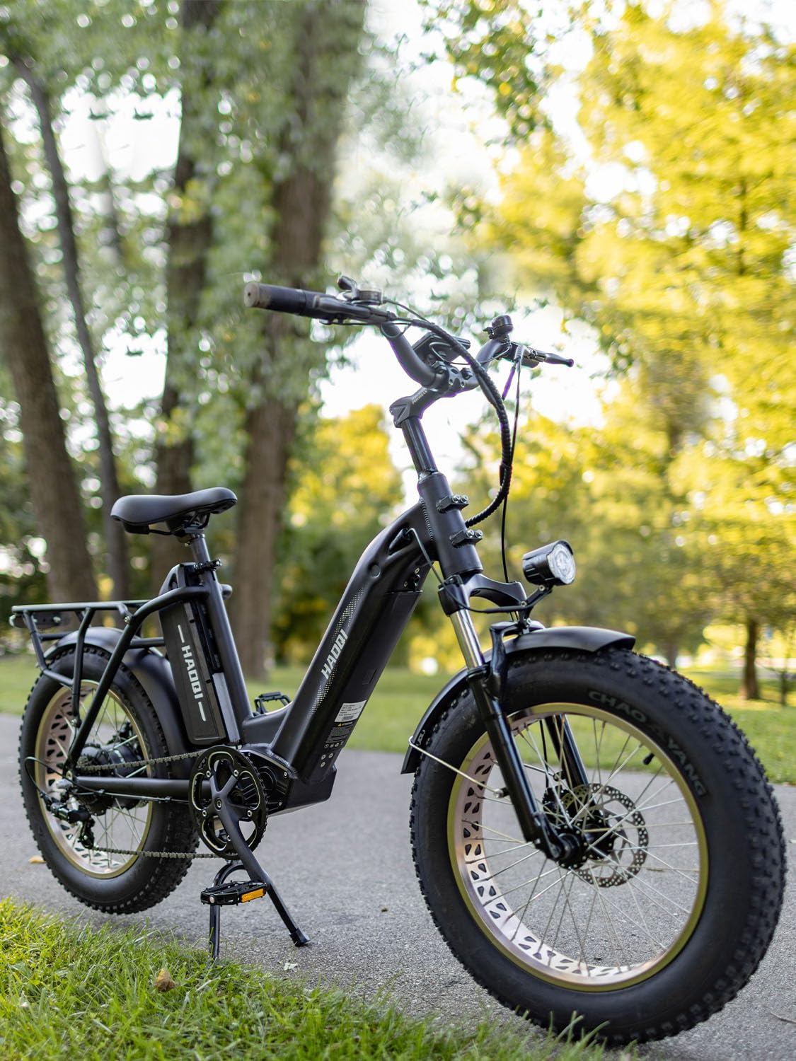 HAOQI Antelope Black Electric Bike for Adults 48V 25AH Removable Dual Lithium Battery, 750W Motor, 20" x 4.0 Fat Tire Step-Thru Ebike up to 28MPH, 7-Speed