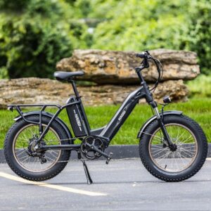 HAOQI Antelope Black Electric Bike for Adults 48V 25AH Removable Dual Lithium Battery, 750W Motor, 20" x 4.0 Fat Tire Step-Thru Ebike up to 28MPH, 7-Speed