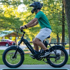 HAOQI Antelope Black Electric Bike for Adults 48V 25AH Removable Dual Lithium Battery, 750W Motor, 20" x 4.0 Fat Tire Step-Thru Ebike up to 28MPH, 7-Speed