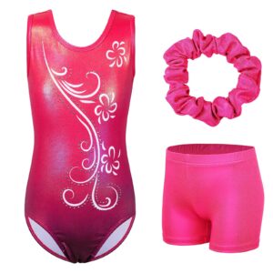 BAOHULU Gymnastics Leotards for Girls Glitter Dancewear with Matching Shorts Set KHB275_Rose_12A