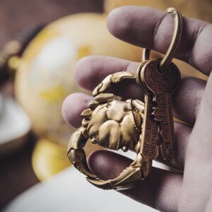 COPPERTIST.WU Crab Snap Keychain Brass Key Chain Quick Release Clip w Keyring Novelty Gifts for Men Women Car Key Decor