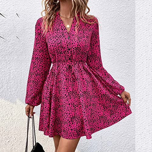 YMUQEIGH Spring Summer Dresses for Women Casual Long Sleeve Mini Dress Fashion Leopard Print Sun Dress Elegant V-Neck Dress Hot Pink