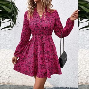 YMUQEIGH Spring Summer Dresses for Women Casual Long Sleeve Mini Dress Fashion Leopard Print Sun Dress Elegant V-Neck Dress Hot Pink