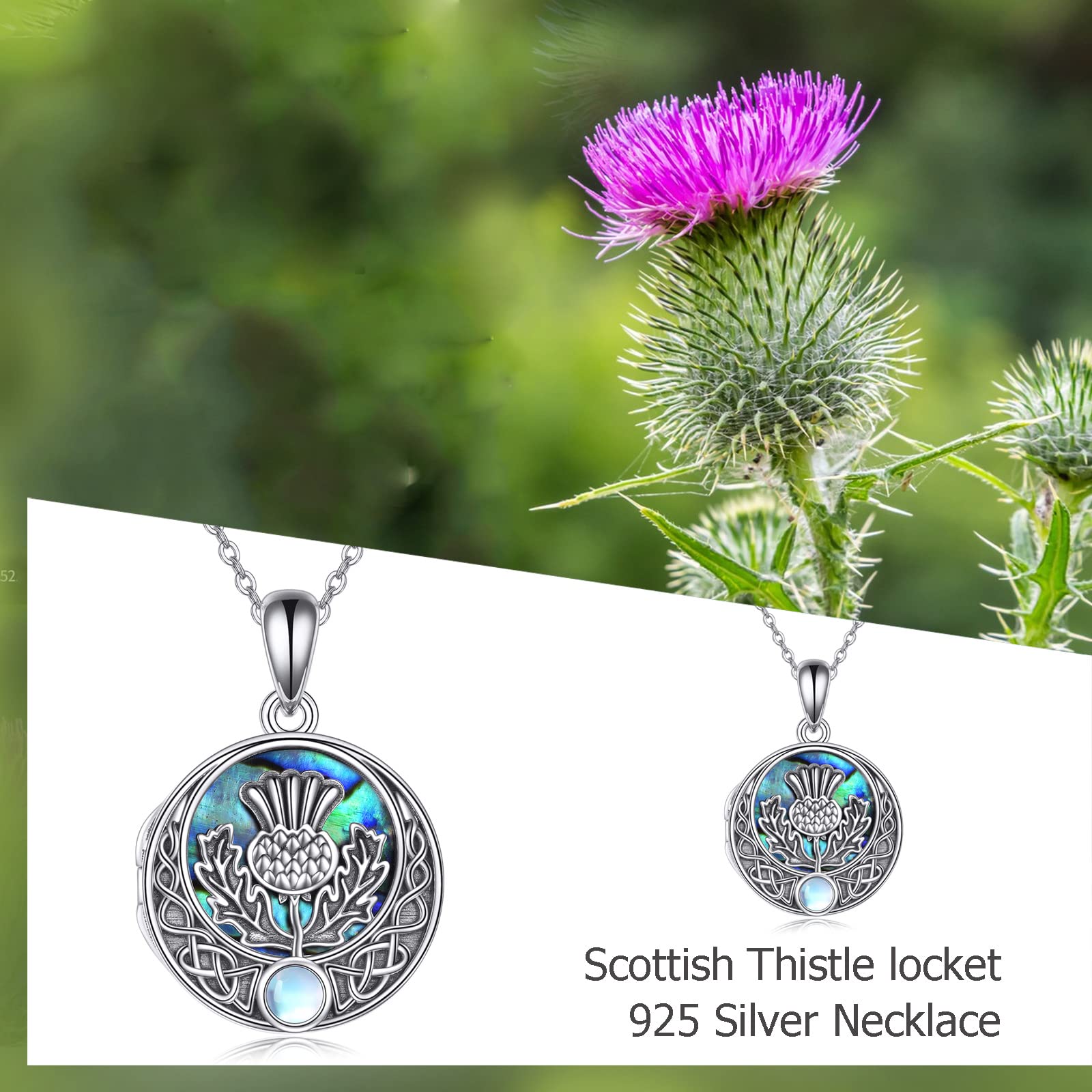 DAYLINLOVE Scottish Thistle Locket Necklace Sterling Silver Locket Necklace That Holds Pictures Scottish Thistle Pendant Jewelry for Women Wife Girlfriend