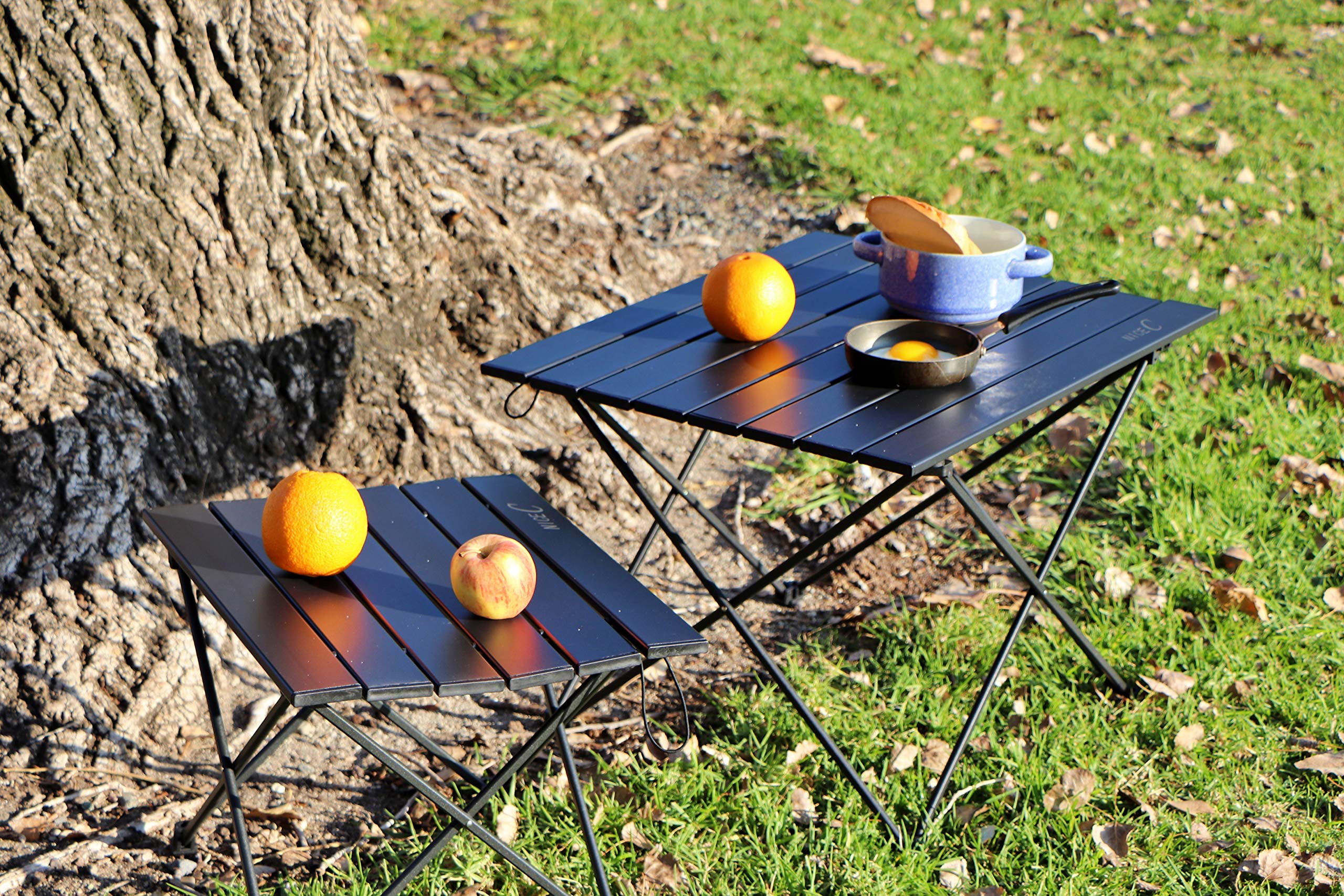 Nice C Camping Roll Up Table + Low Beach Chair