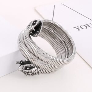 Klapgo Stainless Steel Two Headed Snake Charm Cuff Bangle for Men and Women, Gothic Style Animal Retro Bracelet Jewelry