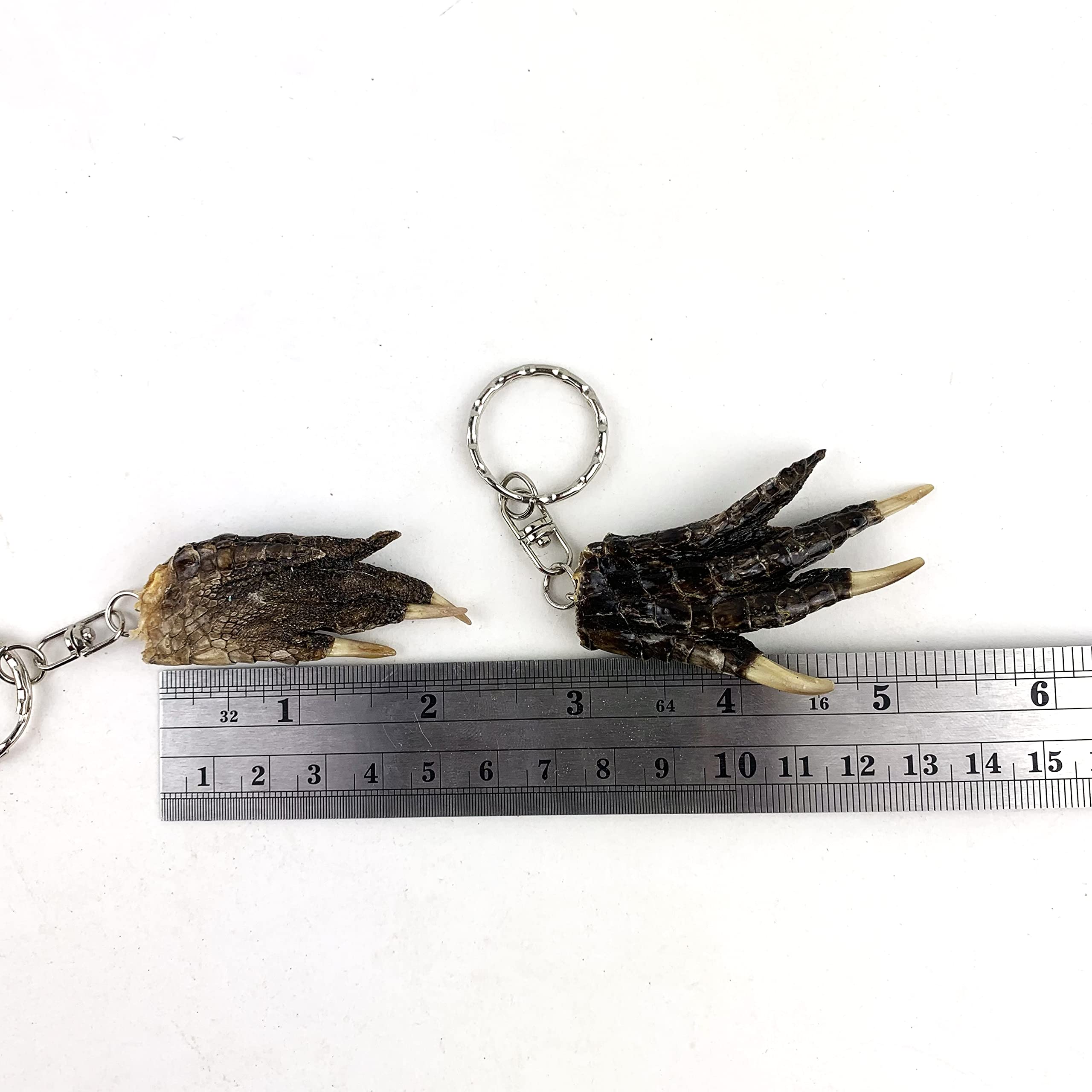 Heyiwell 2PC Alligator Claw Paw Real Gator Key Ring,Gator Foot Keychain