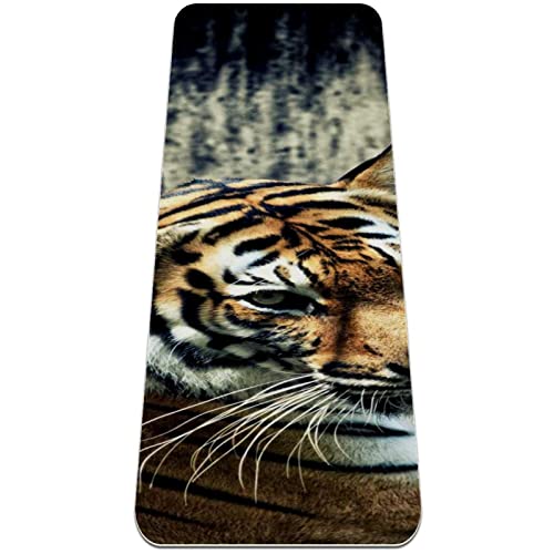 Yoga Mat, Yoga Mats for Home Workout, Workout Mat, Exercise Mats, Pilates Mat, animal tiger pattern