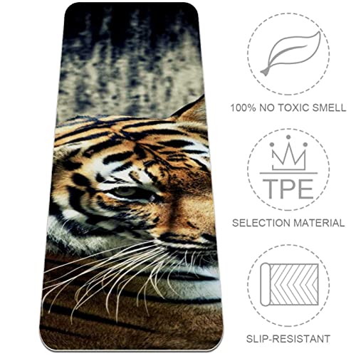 Yoga Mat, Yoga Mats for Home Workout, Workout Mat, Exercise Mats, Pilates Mat, animal tiger pattern