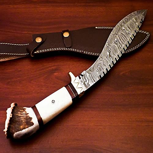 Custom FORGED DAMASCUS Steel Hunting Knife With Stag and Brass Guard Handle very beautiful knife best gift for Father day