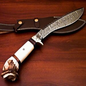 Custom FORGED DAMASCUS Steel Hunting Knife With Stag and Brass Guard Handle very beautiful knife best gift for Father day