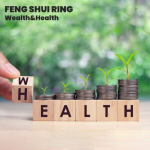 HETICA Feng Shui Pixiu Mantra Amulet Lucky Adjustable Ring Buddhist Good Luck Mantra Double Protection Wealth Love Health Ring Vintage Ring Jewelry Gift