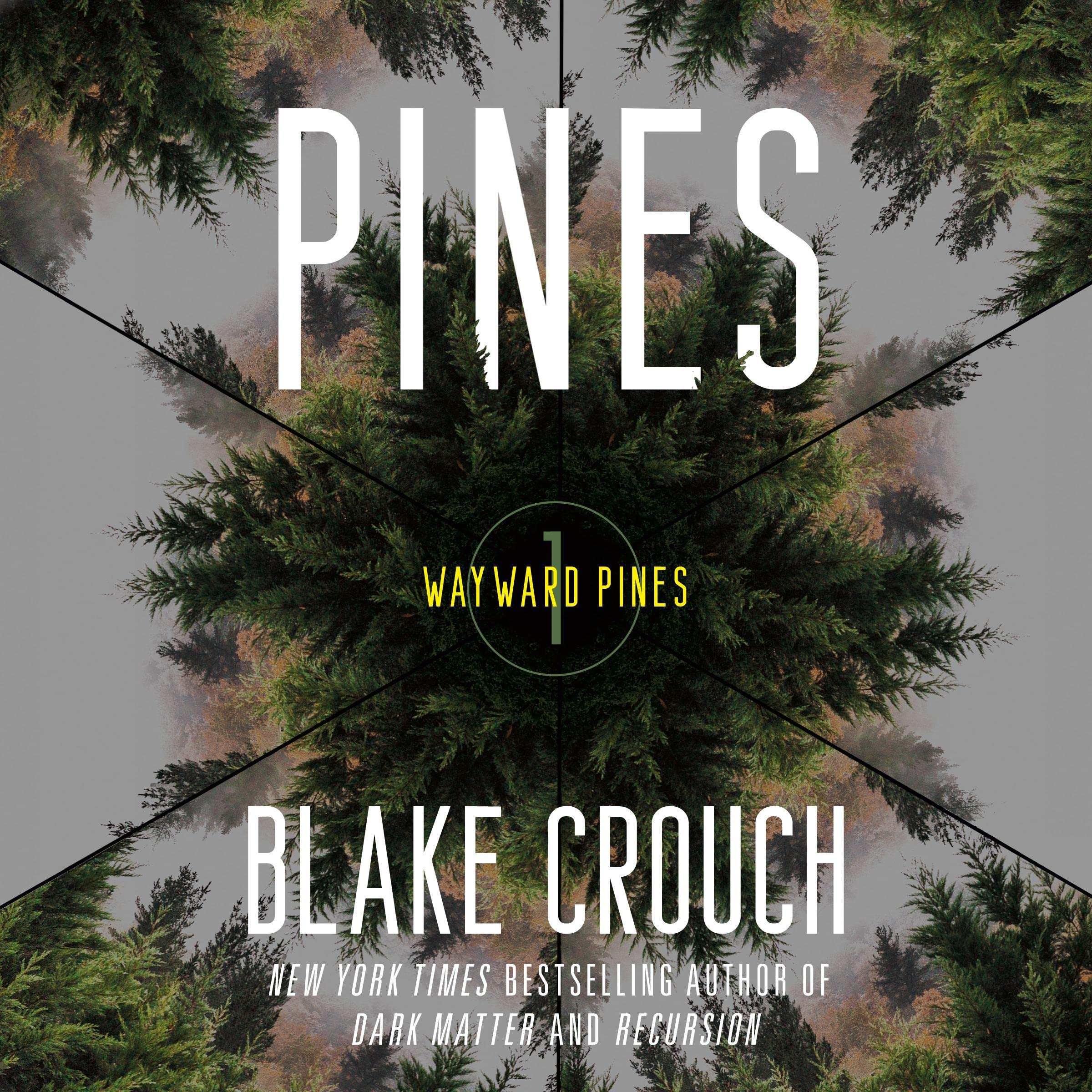 Pines: Wayward Pines: 1