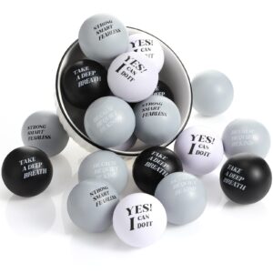 Zomiboo 20 Pieces Motivational Stress Balls Foam Balls Quote Stress Relief Ball Inspirational Relief Balls Hand Exercise Balls for Kids Relieve Motivating Encouraging Adult(Classic Color)