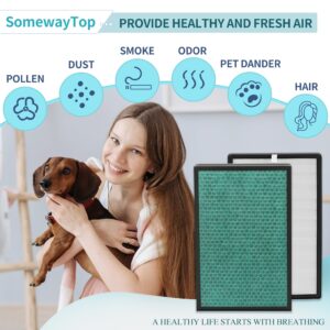 SomewayTop APH260 Replacement Compatible with APH260 and APH320 3-in-1 Filtration H13 True HEPA Air Cleaner for Large Room Pre-filter Plus Efficiency Carbon, 2-Pack