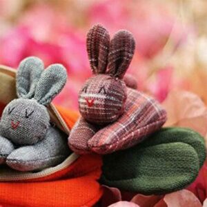 NezaBaby Easter Hide-and-Seek Plush Bunnies in 5.9" Carrot Pouch, Stuffed Animal Surprise Toy