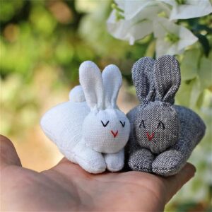 NezaBaby Easter Hide-and-Seek Plush Bunnies in 5.9" Carrot Pouch, Stuffed Animal Surprise Toy