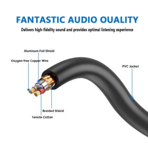 Seefeful 1/4 TRS to Dual Male XLR Cable, 1/4 Inch (6.35mm) TRS to XLR Dual Male Y-Splitter Breakout Lead Microphone Cord - 11.8 Inches