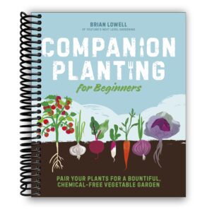 companion planting for beginners: pair your plants for a bountiful, chemical-free vegetable garden