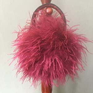 LVCOMEFF Women Ostrich Feather Purse Mini Handbag for Party Furry Casual Daily 2023 Bubblegum Color…