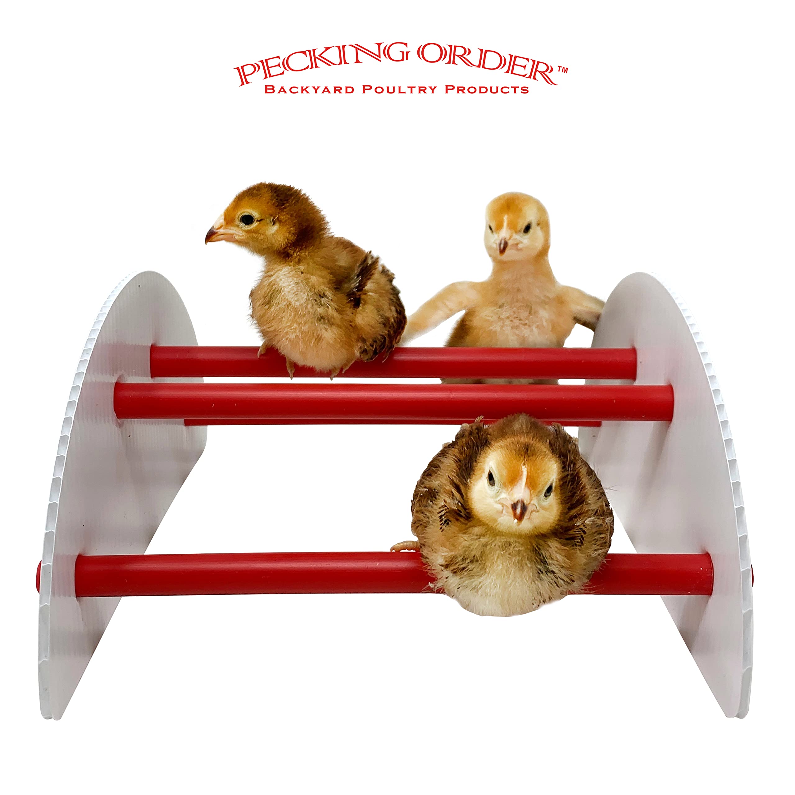 Pecking Order 9590 N-Play Chick brooder Accessory, Red