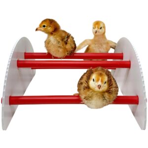 pecking order 9590 n-play chick brooder accessory, red