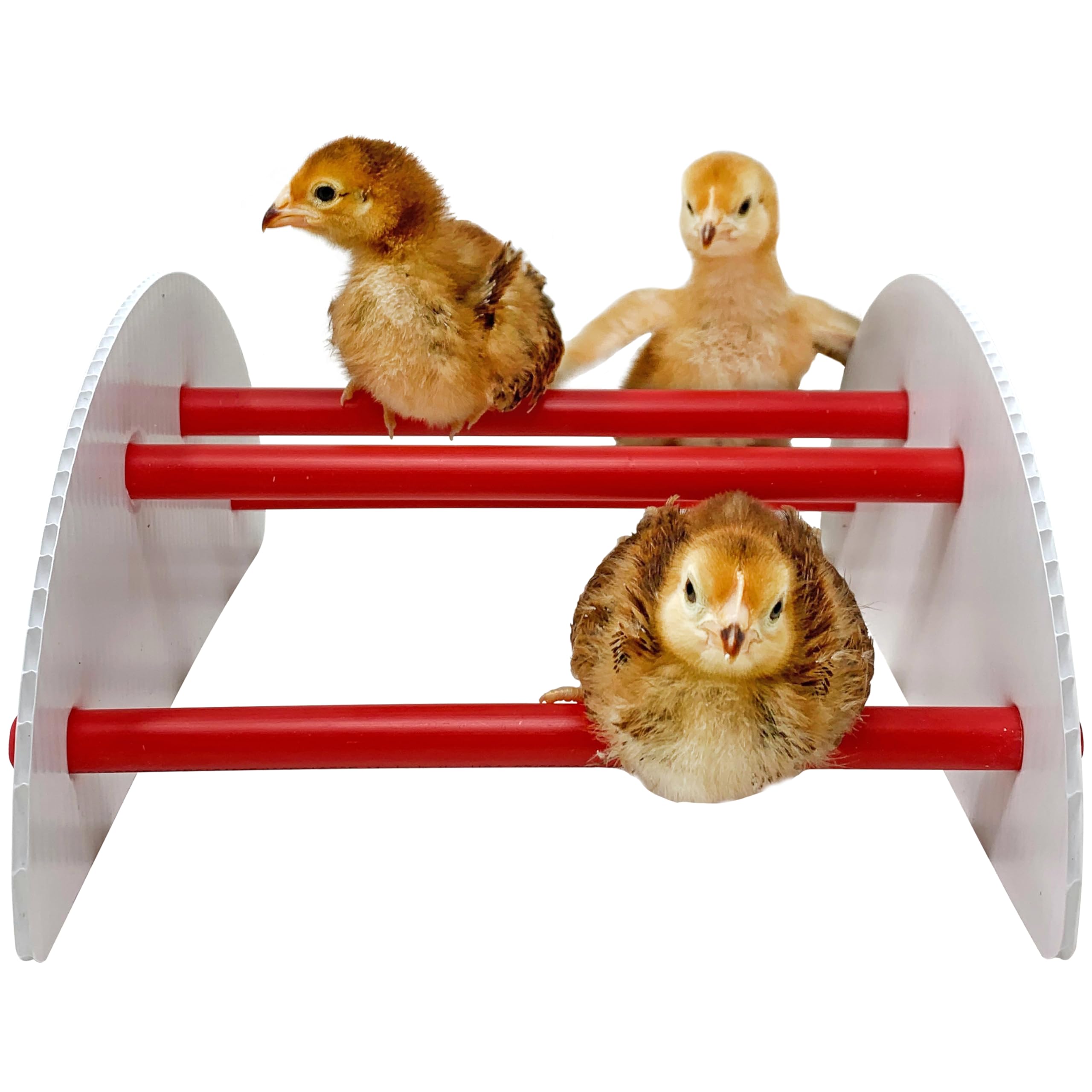 Pecking Order 9590 N-Play Chick brooder Accessory, Red