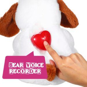 Civaner 4 Pack 60 Seconds Voice Recorder for Stuffed Animal Heart Red Push Button Heart Shaped Sound Recorder Recordable Device for Toy Plush Bear Doll Voice Message Recording